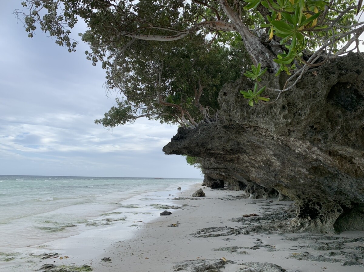 5142CA2F-F829-4910-938E-E664F34D7B5C