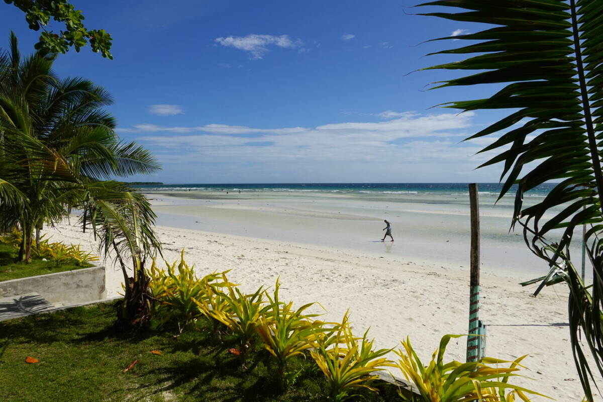 A9D43744-999D-44DB-8CF0-BEF8BFFBDD8A