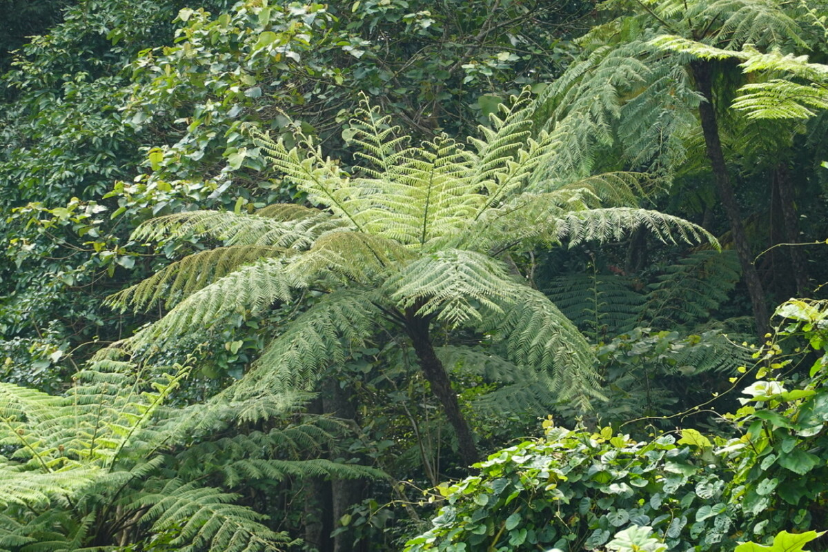 E398EEF0-0EB1-4C00-B49B-B4D163497523